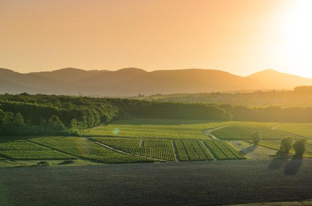 應(yīng)該如何扎實的自學(xué)攝影測量學(xué)？