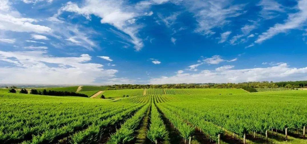 精準農(nóng)業(yè)用多光譜還是高光譜遙感技術(shù)？