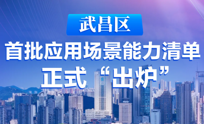 飛燕遙感入選武漢市武昌區(qū)首批應用場景能力清單